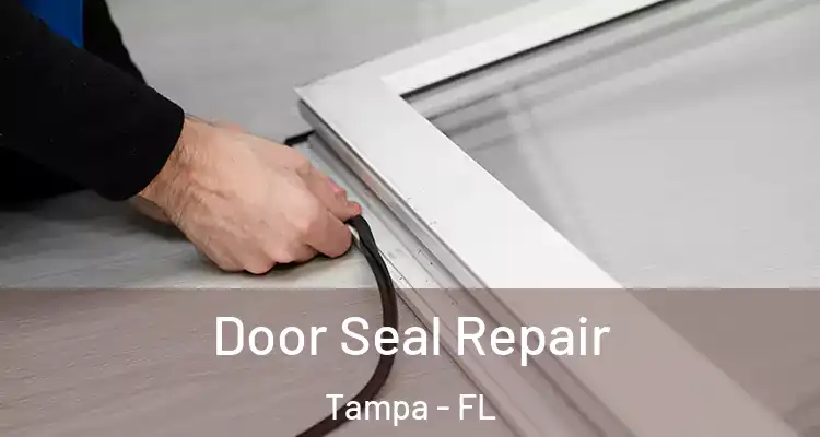  Door Seal Repair Tampa - FL