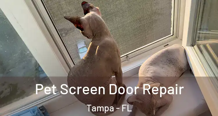  Pet Screen Door Repair Tampa - FL