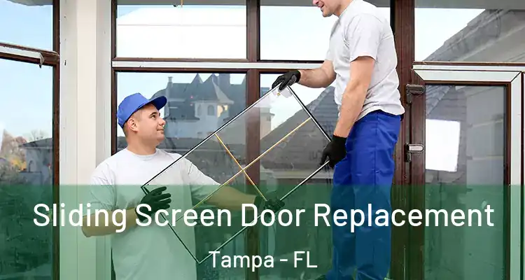  Sliding Screen Door Replacement Tampa - FL